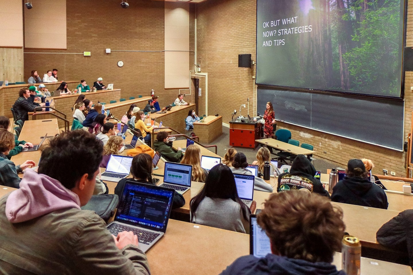 Whitney Phillips teaches a classroom full of students using laptops