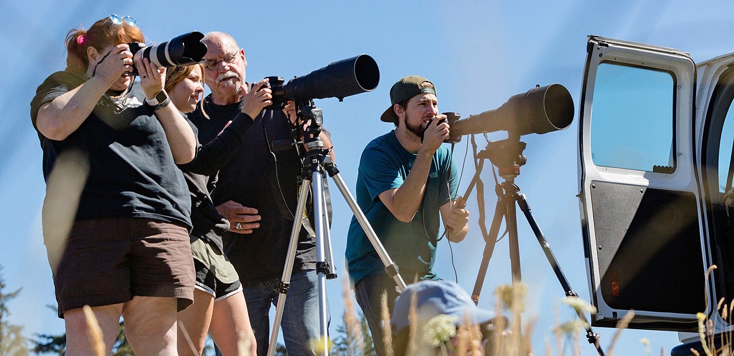 A male professor showing a female student how to use a digital camera while two other students are around taking photos