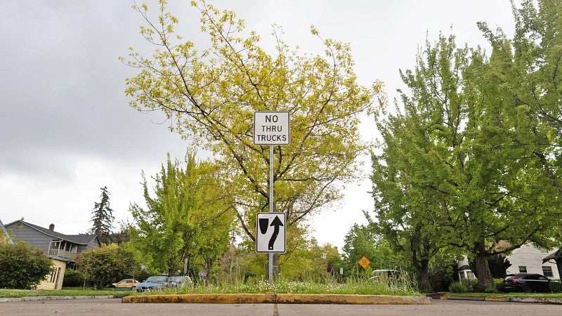 a tree grows on a traffic island in the middle of a Eugene street with a No Thru Trucks sign in front