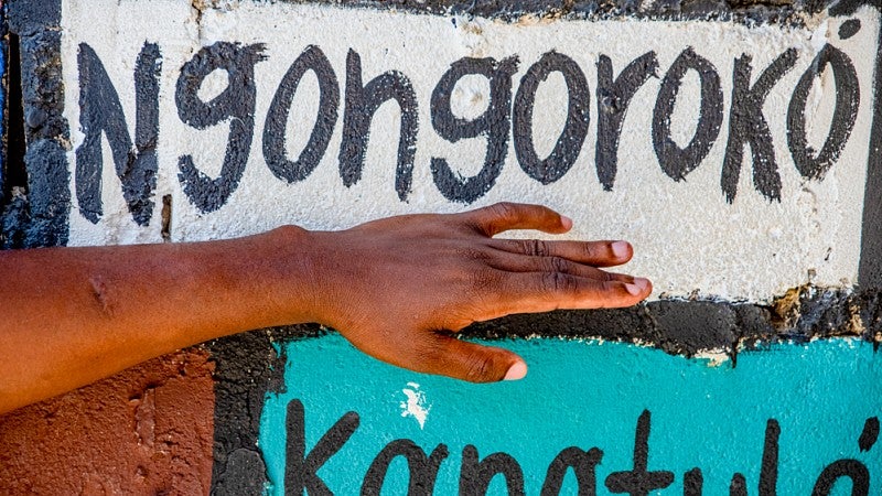 a persons hand and forearm in front of a painted wall