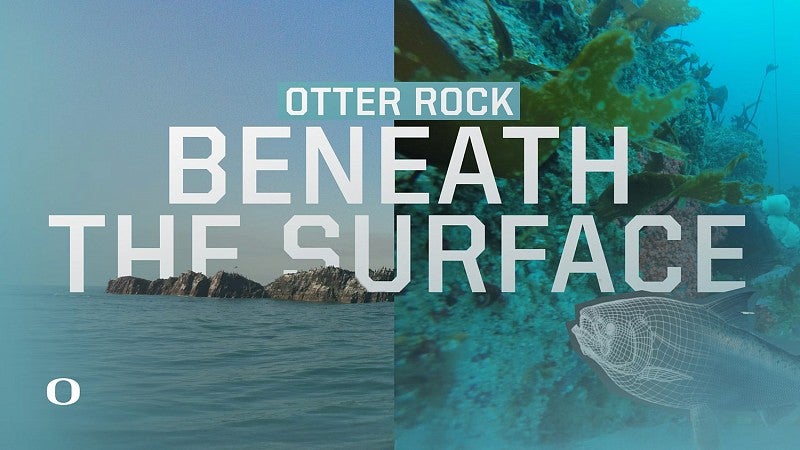 digital composite illustration with ocean and underwater scenes with the text "Otter Rock Beneath the Surface"