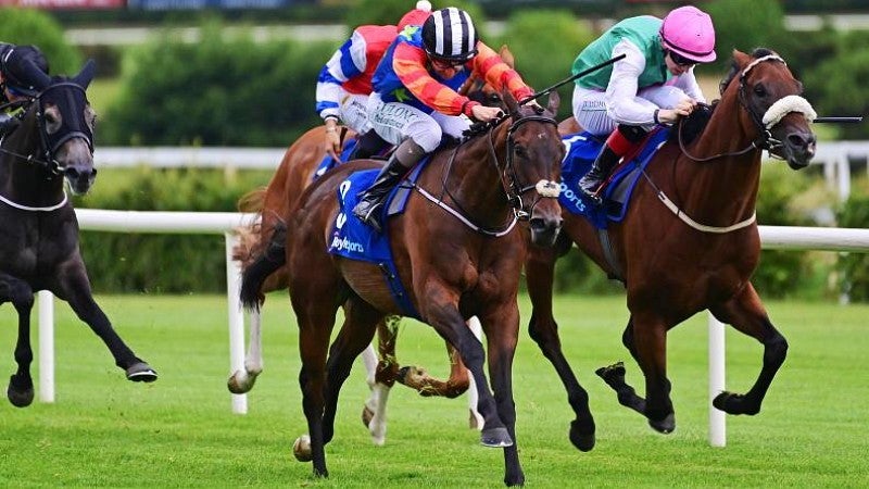 Jockeys ride on horses in a horse race