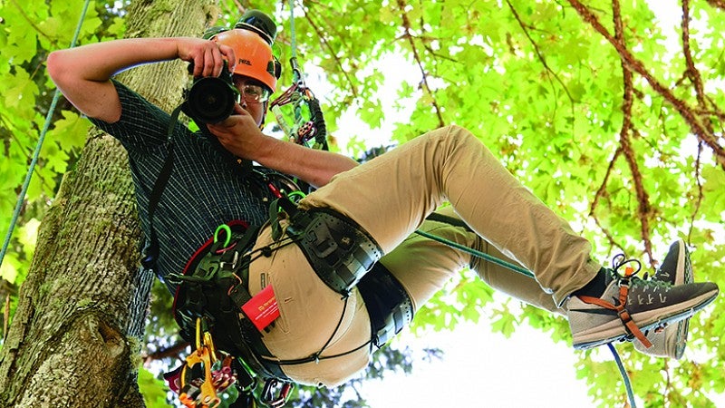 Student hanging from tree with camera equipment.