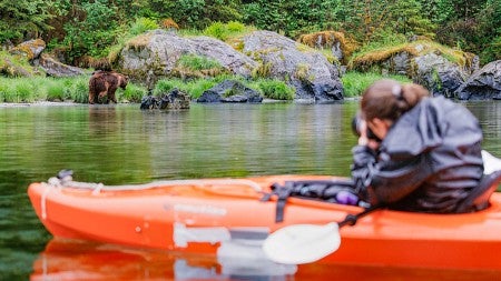 From her canoe, Eden McCall takes a photo of a grizzly bear walking along the shore of a river 