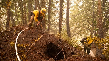 Firefighters tending to a burning forest.