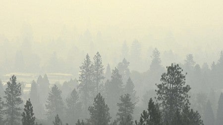 'Smoke, Sediment, and Science Communication: Redefining Scope and Scale of Wildfire Hazard and Risk Management' is the title of one of five interdisciplinary research projects to receive early seed funding through the 2019 I3 program.