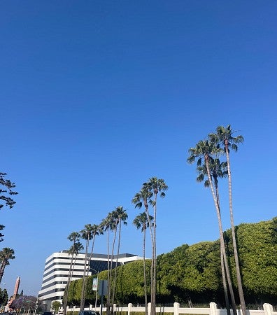 view of a Los Angeles street with palm trees